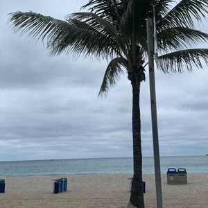 Meet your Posher, Kylie